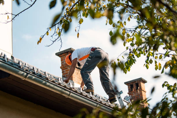 Best Local Roofing Companies  in Rainier, WA