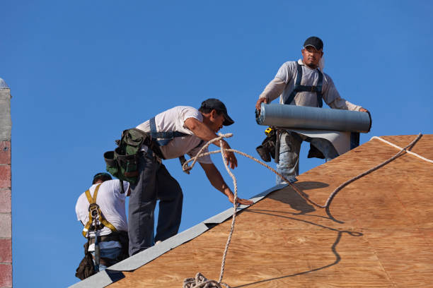 Best Metal Roofing Contractor  in Rainier, WA