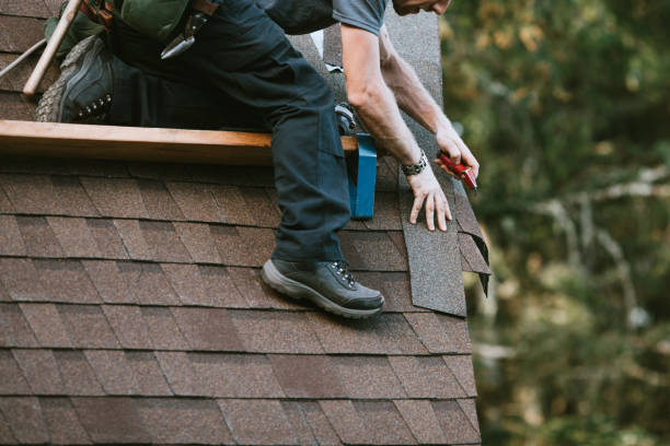 Best Sealant for Roof  in Rainier, WA